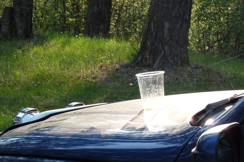 Подосинки IMAGE P1020716-full.jpg