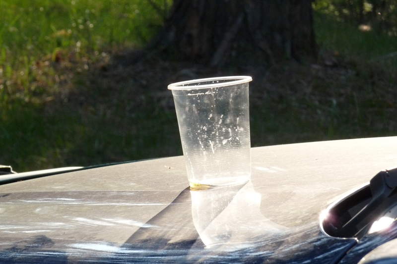 Подосинки IMAGE P1020717-full.jpg