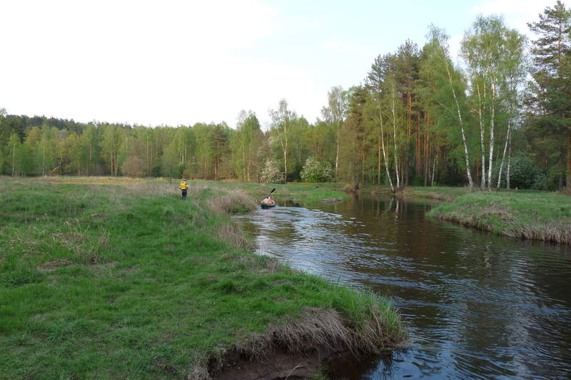 Подосинки IMAGE P1020785-full.jpg