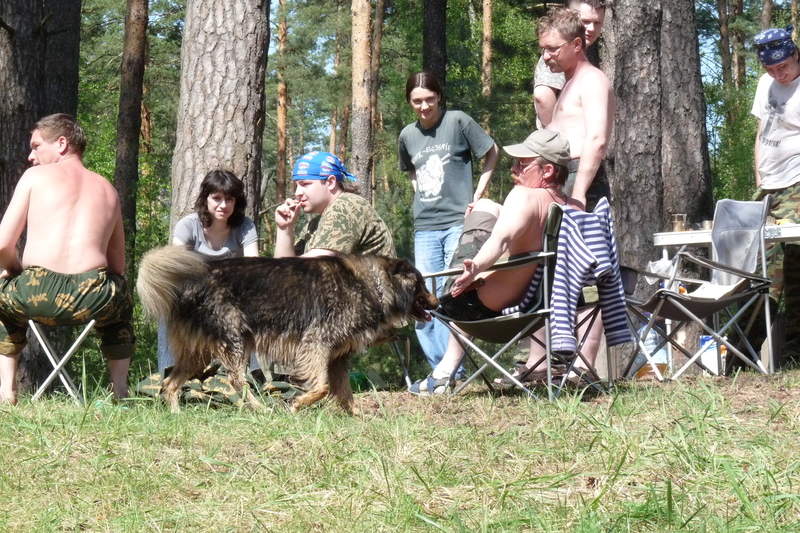 Подосинки IMAGE P1020869-full.jpg