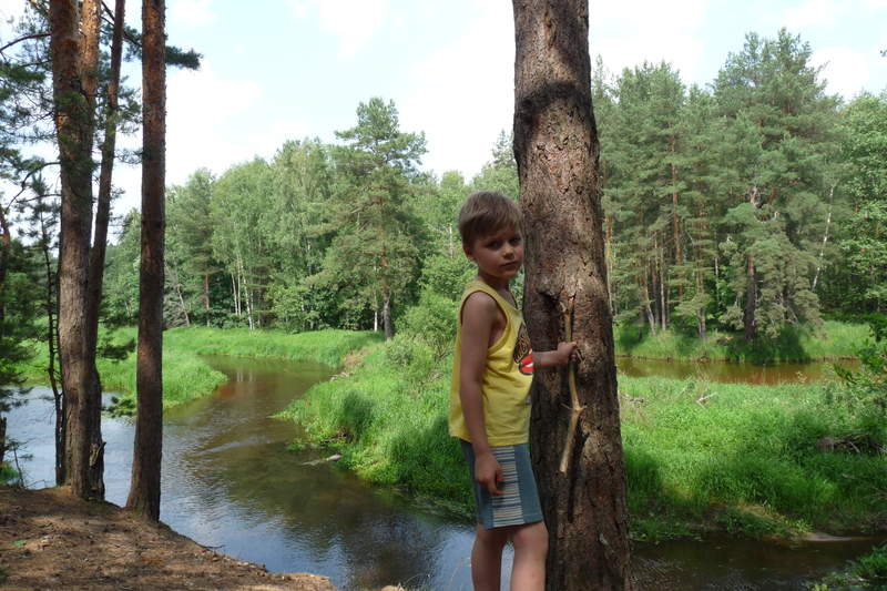 Подосинки IMAGE P1030174-full.jpg