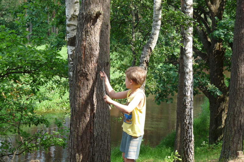 Подосинки IMAGE P1030176-full.jpg