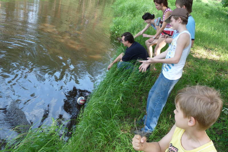 Подосинки IMAGE P1030185-full.jpg