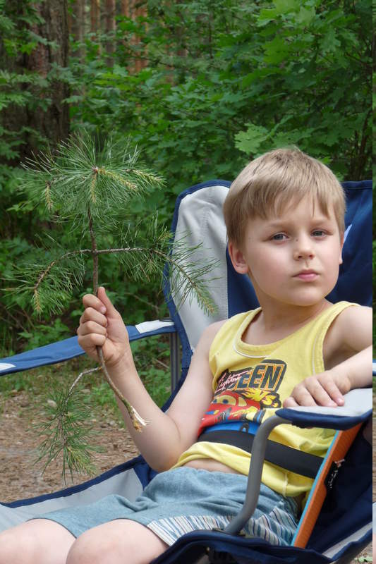 Подосинки IMAGE P1030212-full.jpg