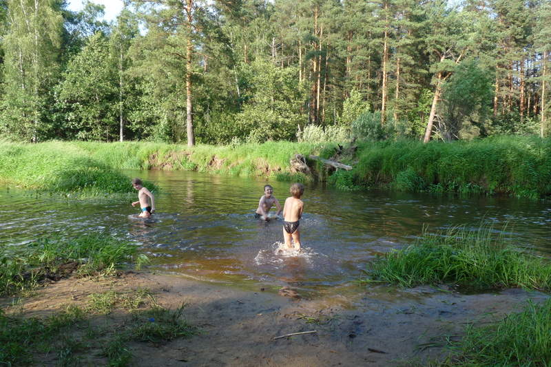 Подосинки IMAGE P1030244-full.jpg