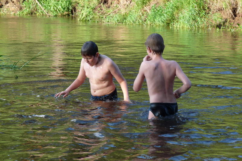 Подосинки IMAGE P1030246-full.jpg