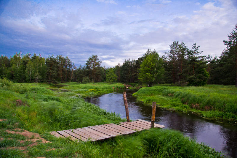 Подосинки IMAGE 2011.06.04-22.12.08-oleg-115-full.jpg