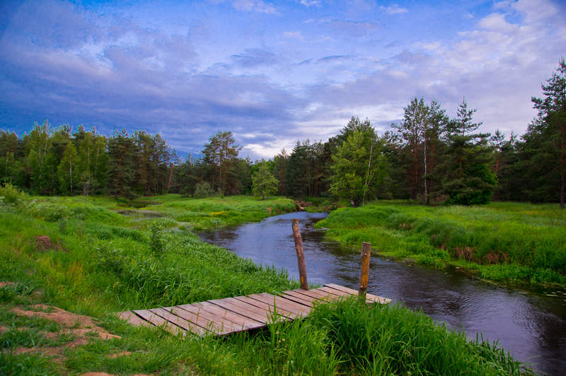 Подосинки IMAGE 2011.06.04-22.12.29-oleg-117-full.jpg