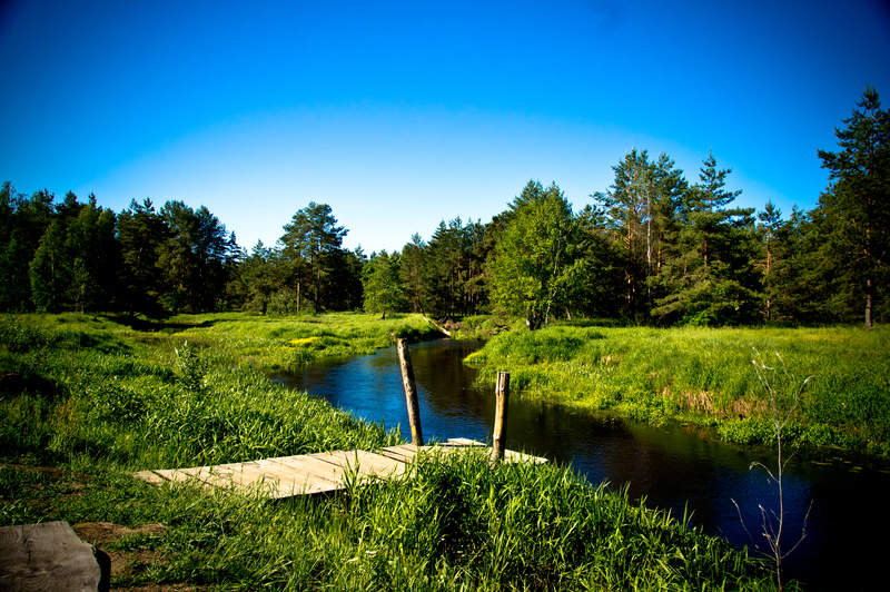 Подосинки IMAGE 2011.06.05-08.54.03-oleg-126-full.jpg