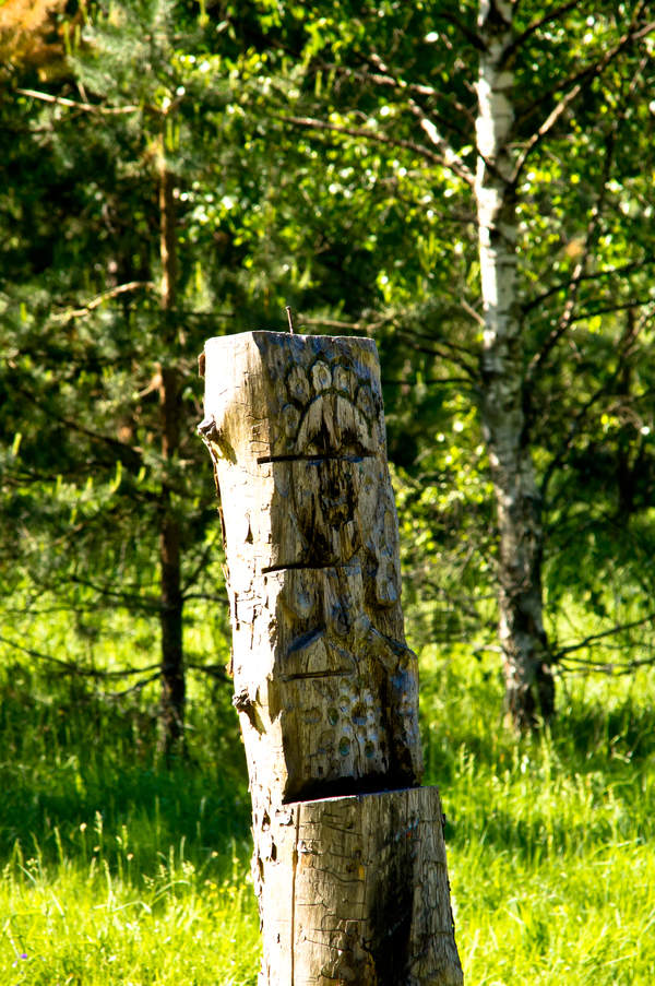 Подосинки IMAGE 2011.06.05-09.58.39-oleg-140-full.jpg