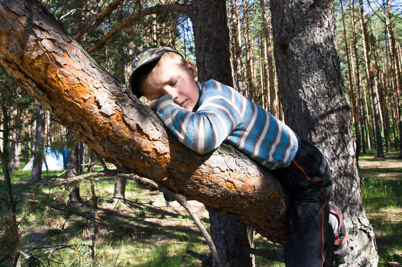 Подосинки IMAGE 2011.06.05-10.03.52-oleg-142-full.jpg