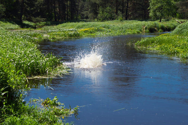 Подосинки IMAGE 2011.06.05-12.11.35-oleg-178-full.jpg