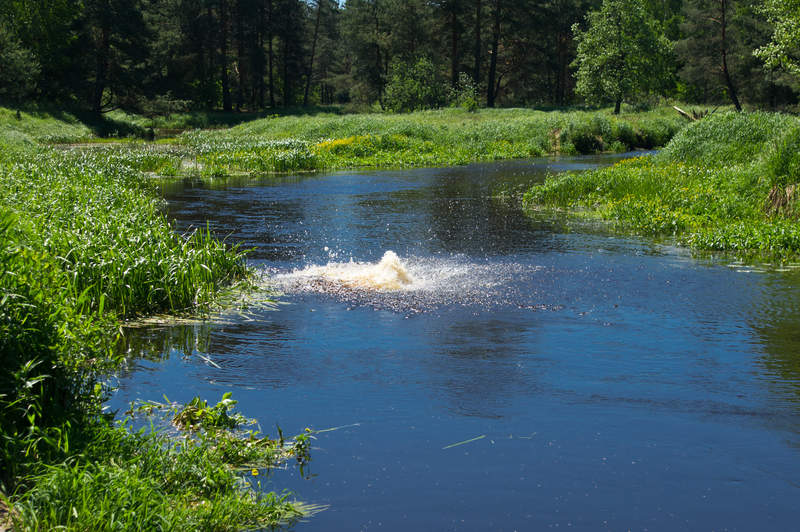 Подосинки IMAGE 2011.06.05-12.11.35-oleg-179-full.jpg