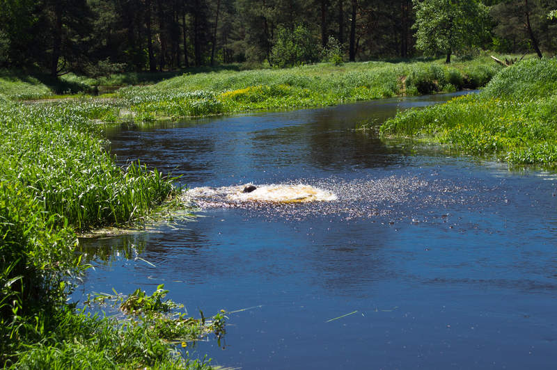 Подосинки IMAGE 2011.06.05-12.11.35-oleg-180-full.jpg