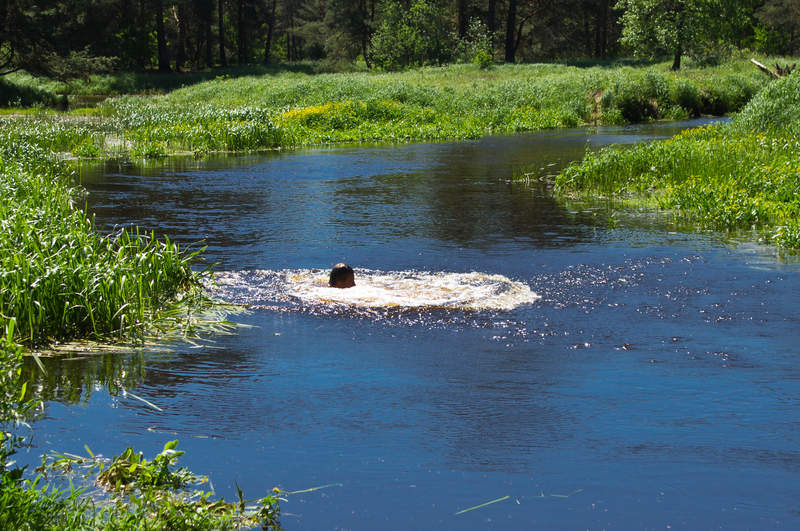 Подосинки IMAGE 2011.06.05-12.11.36-oleg-181-full.jpg