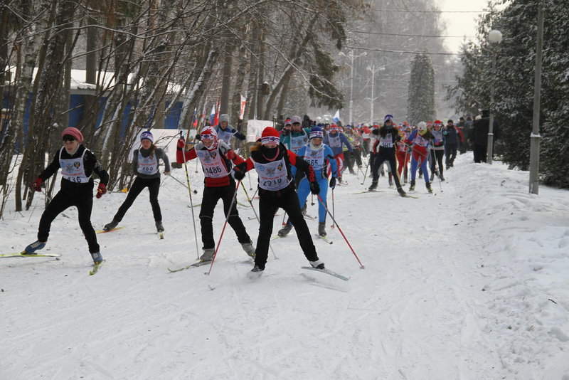 Лыжня России 2012 Тула