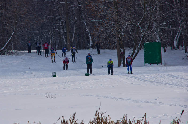 Лыжня России 2012 Тула