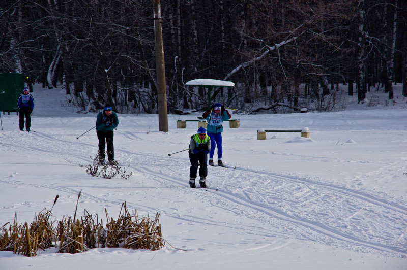 Лыжня России 2012 Тула