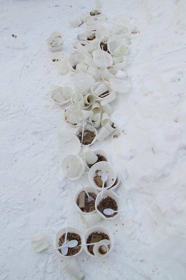 Лыжня России 2012 Тула