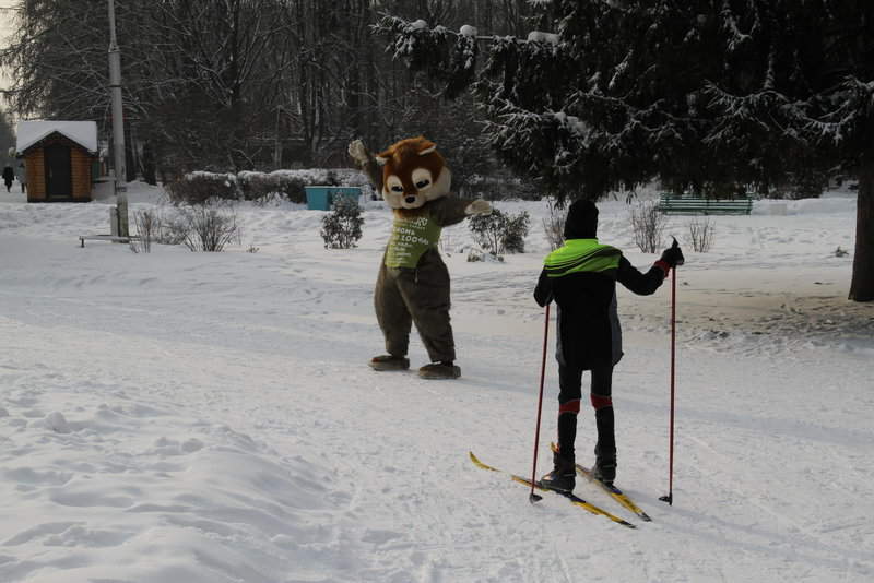 Лыжня России 2012 Тула